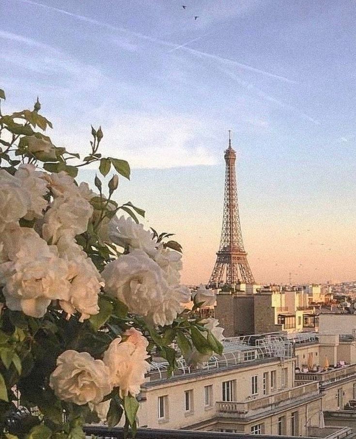 Air France-KLM Flying Blue Selling Miles with 80% Bonus: The Business Class Redemptions to Target Before This Window Closes