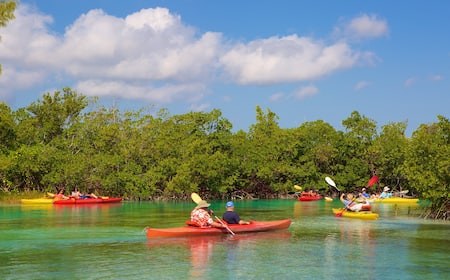 Celebration Key Shore Day, Done Right: Book Direct, Skip the Markup, See the Best of It