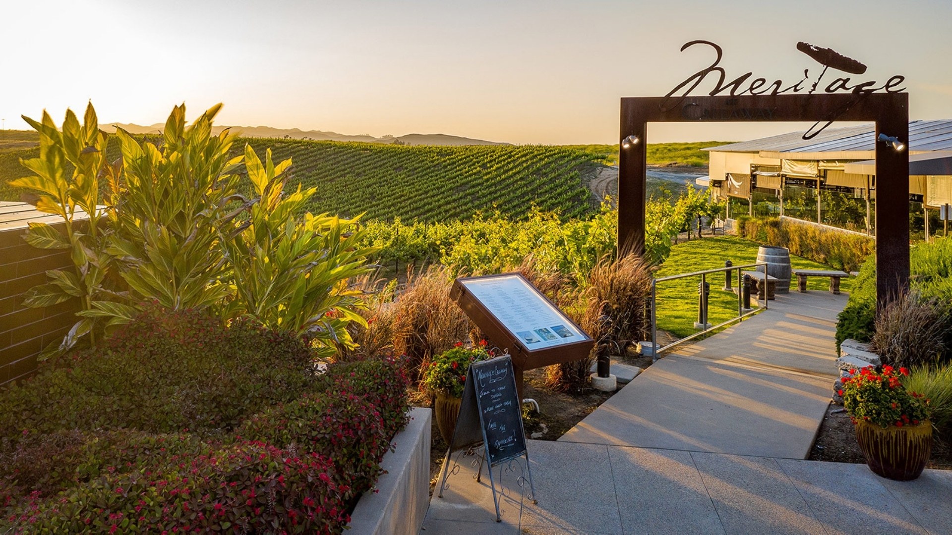 Callaway Vineyard and Winery