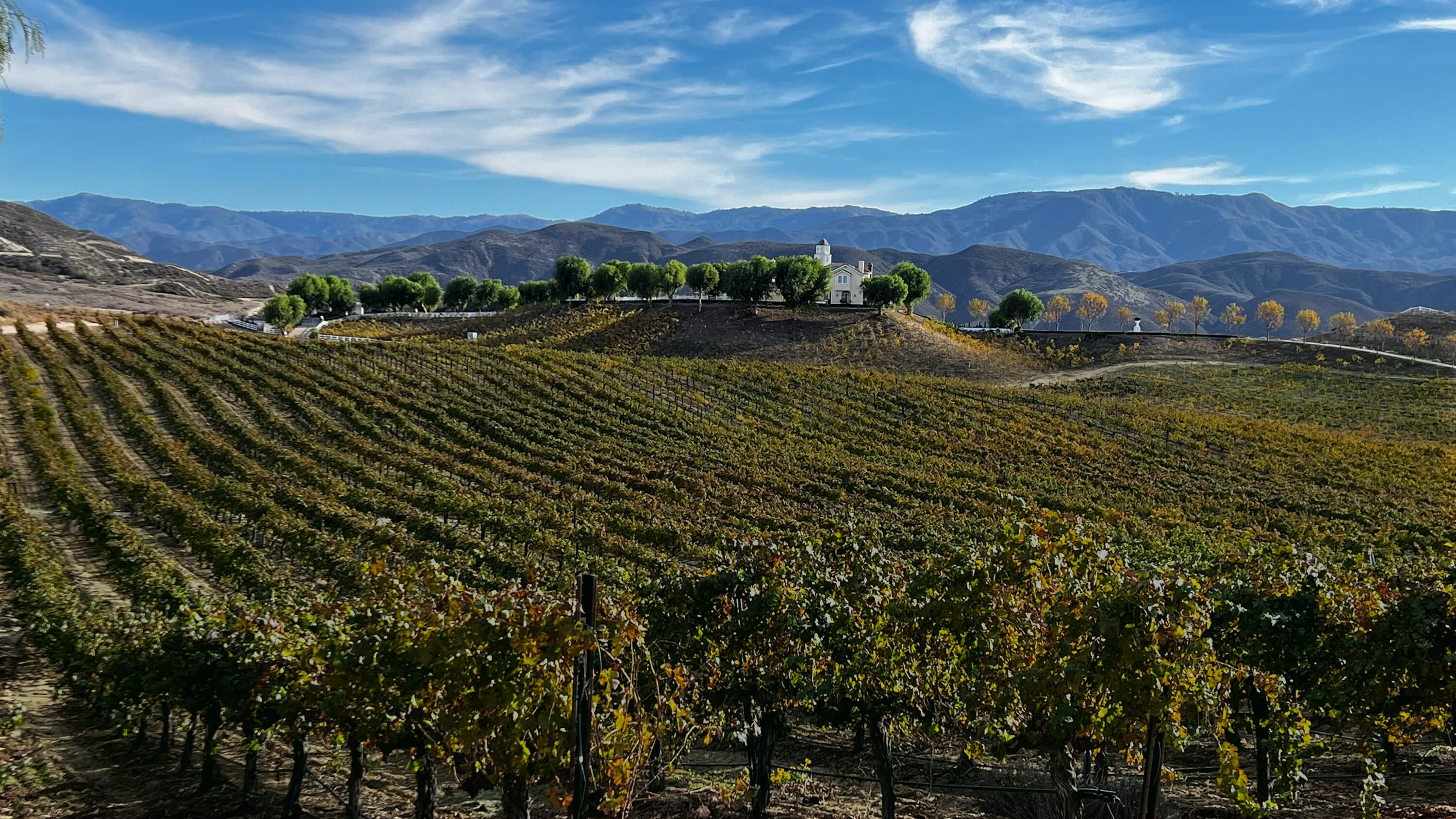 Pujol Winery
