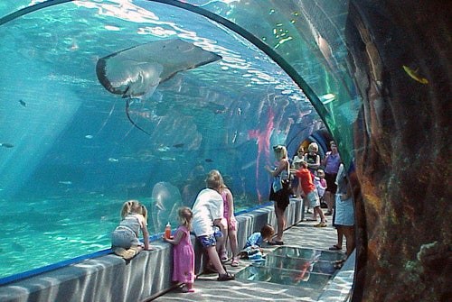 Ocean Center Aquarium