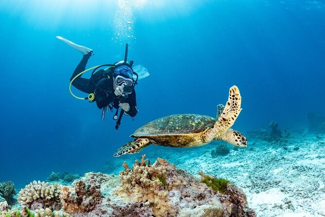 Sunken City Scuba Diving Tour