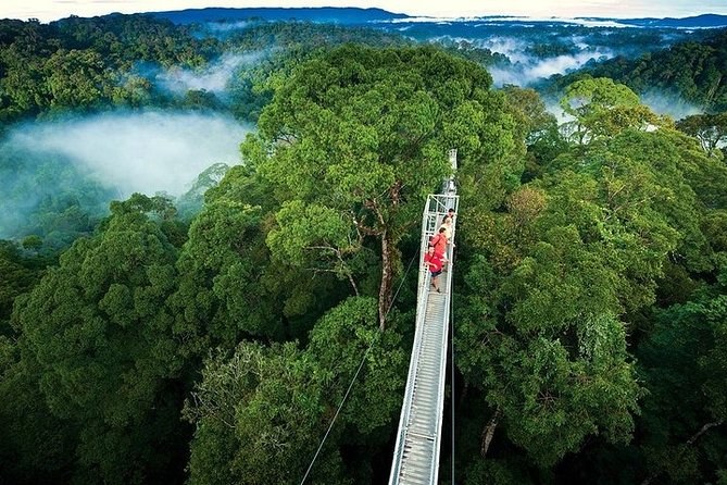 Monteverde Cloud Forest Reserve