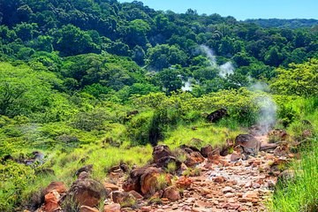 Wildlife Spotting Tour