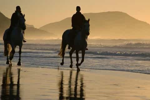 Horseback Riding Tour
