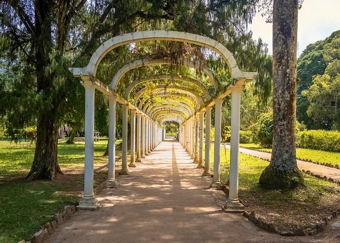 Rio de Janeiro Botanical Garden (Jardim Botânico)