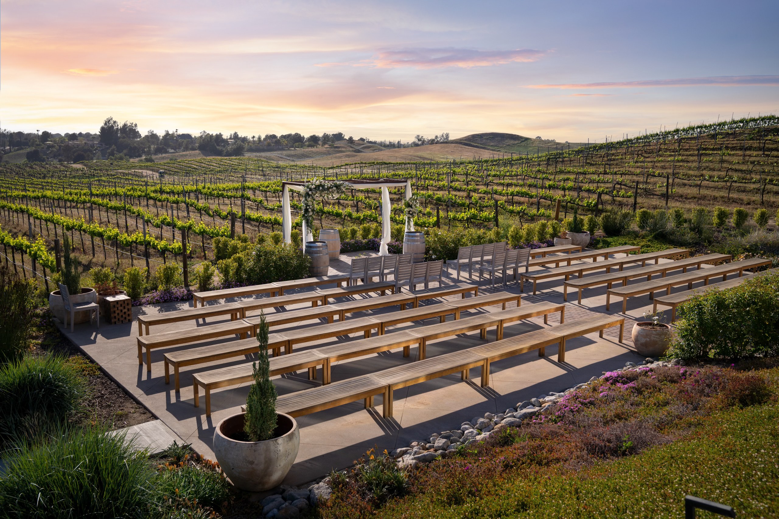 Danza del Sol Winery