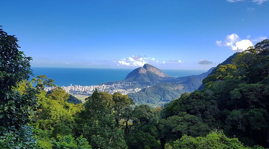 Tijuca National Forest (Parque Nacional da Tijuca)