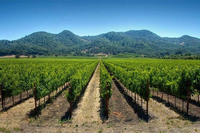 Undurraga Winery