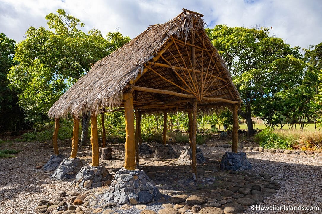 Maui Nui Botanical Garden