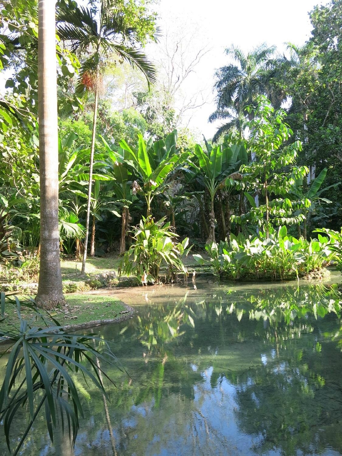 Botanical Garden (Jardín Botánico Guillermo Piñeres)
