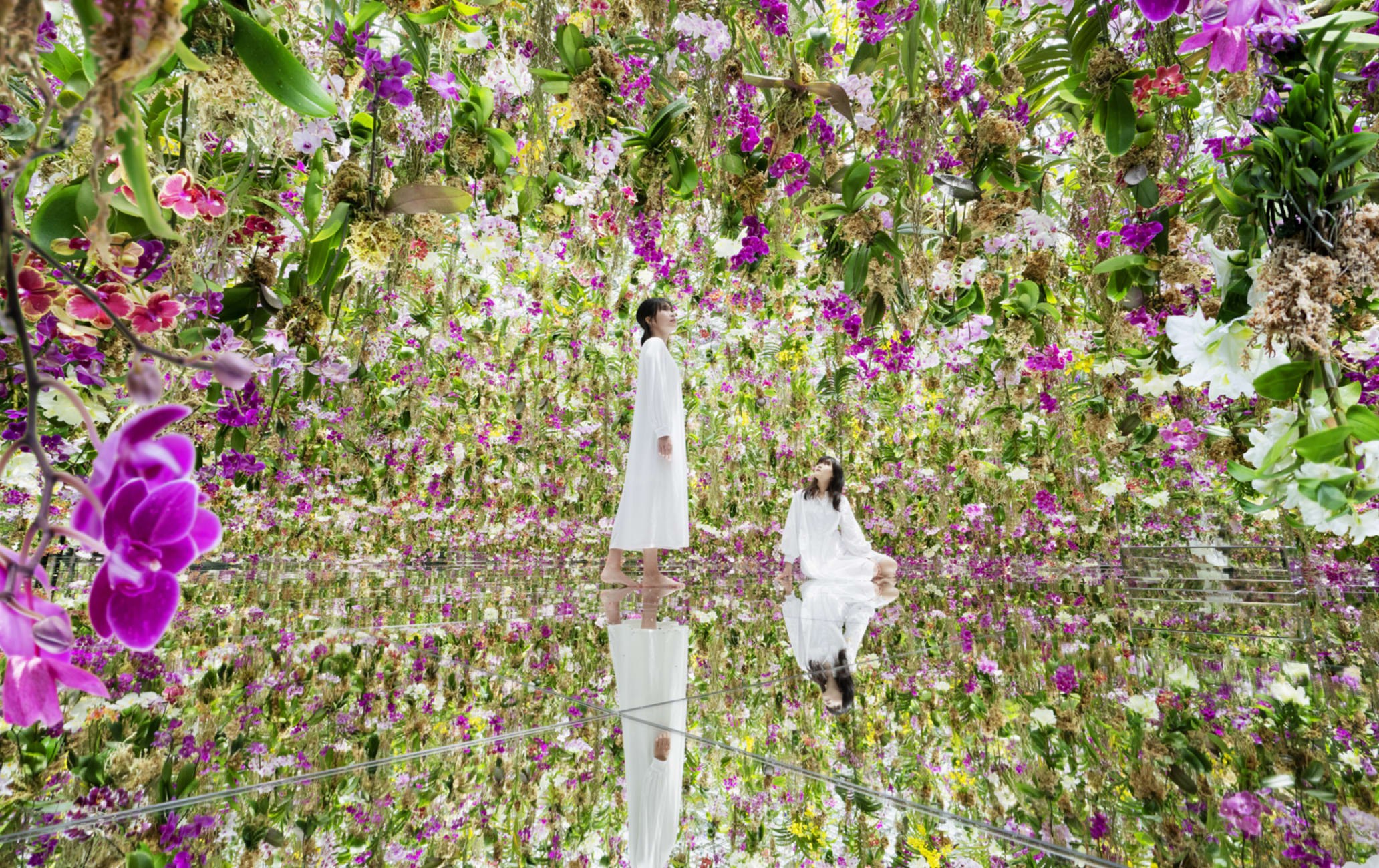 teamLab Planets