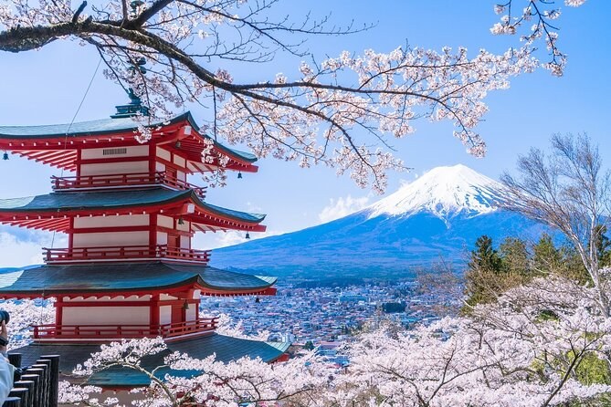 Mt. Fuji Day Trip