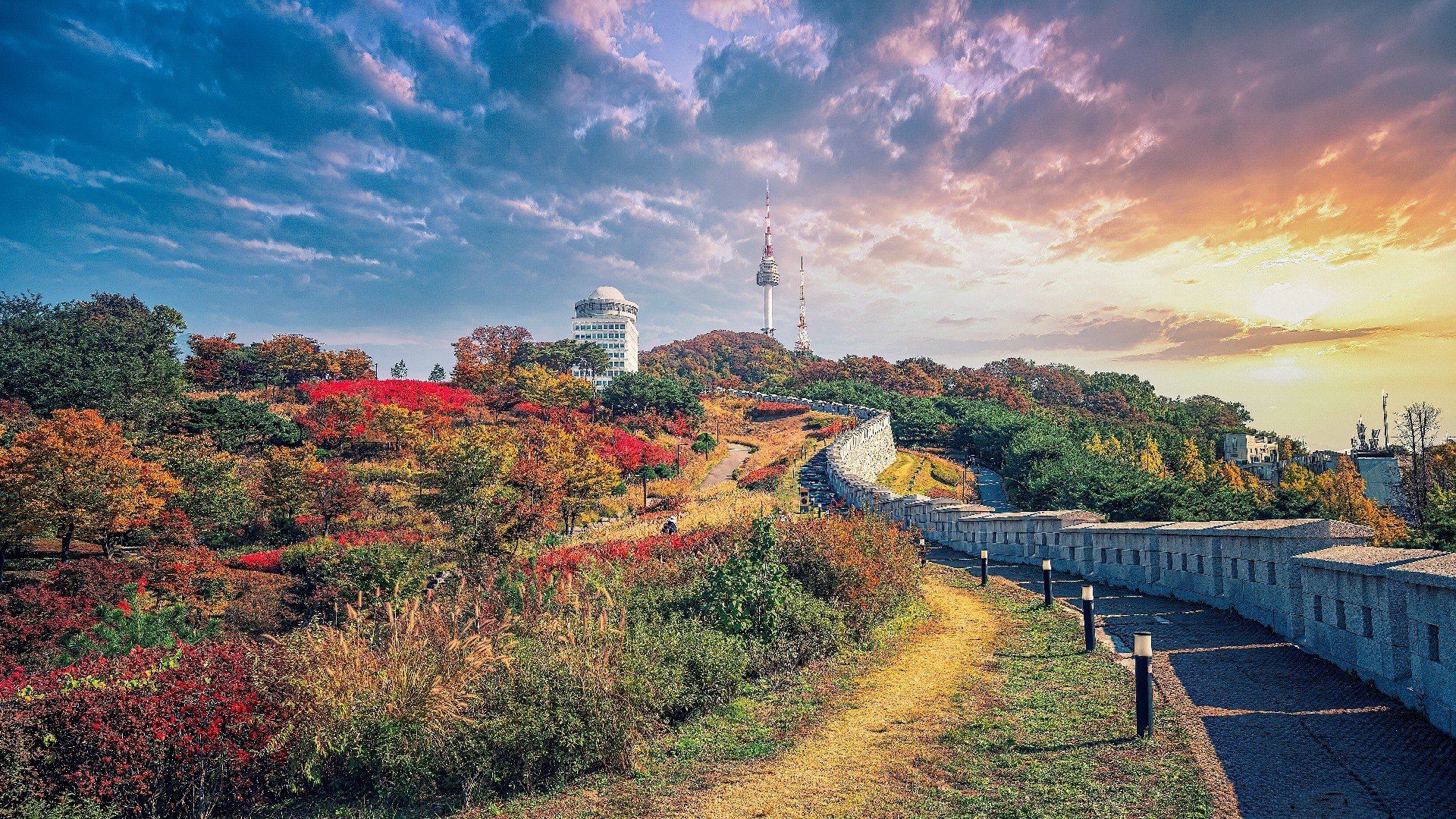 Seoul Forest