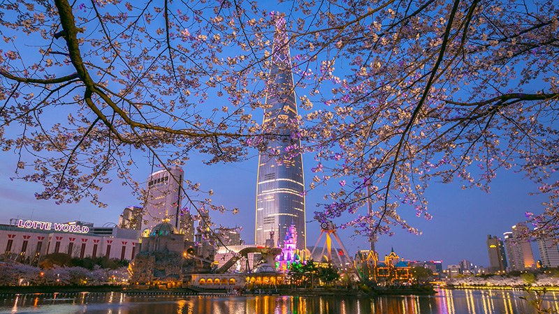Lotte World