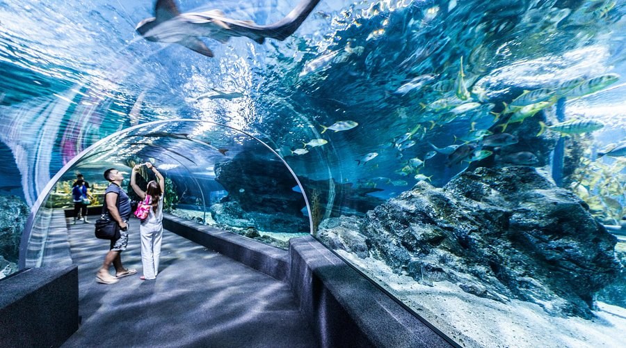 Siam Paragon Shopping & Aquarium