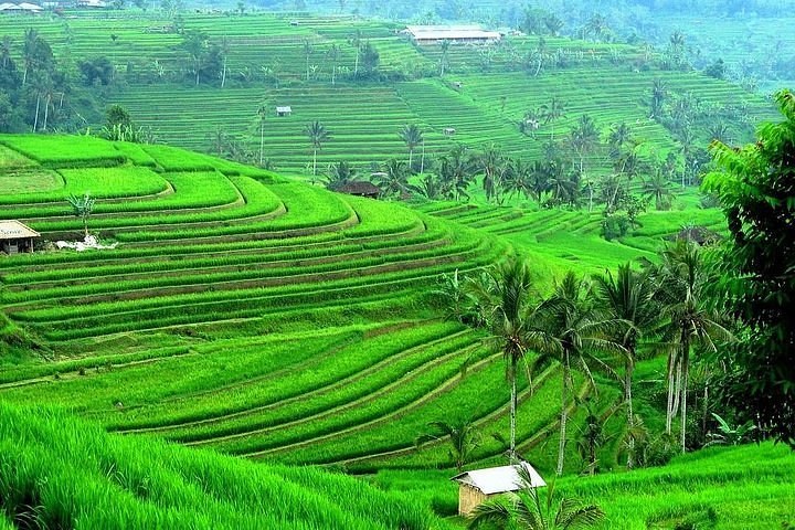 Bali Subak Museum