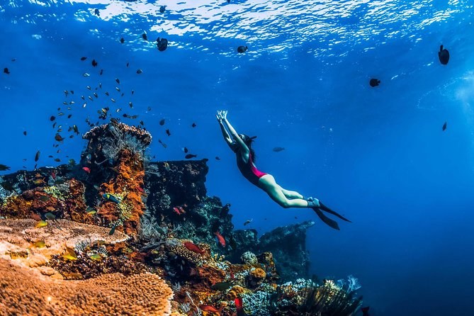 Amed Diving & Snorkeling