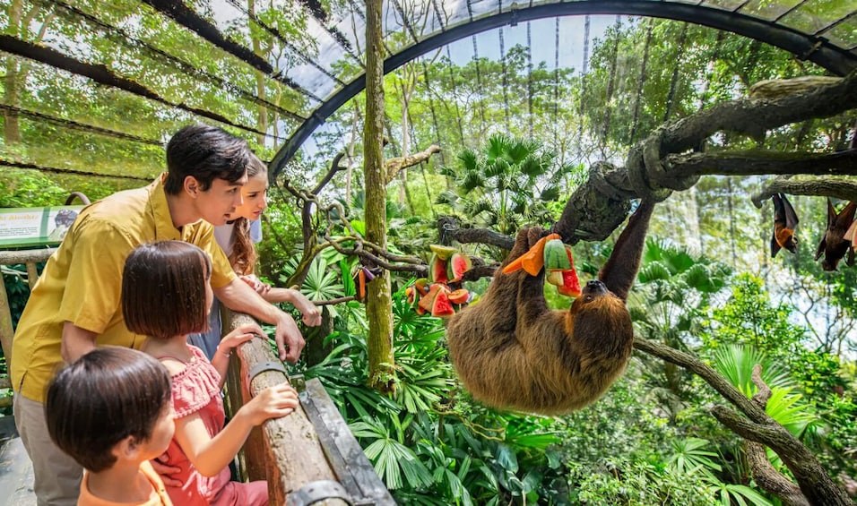 Singapore Zoo