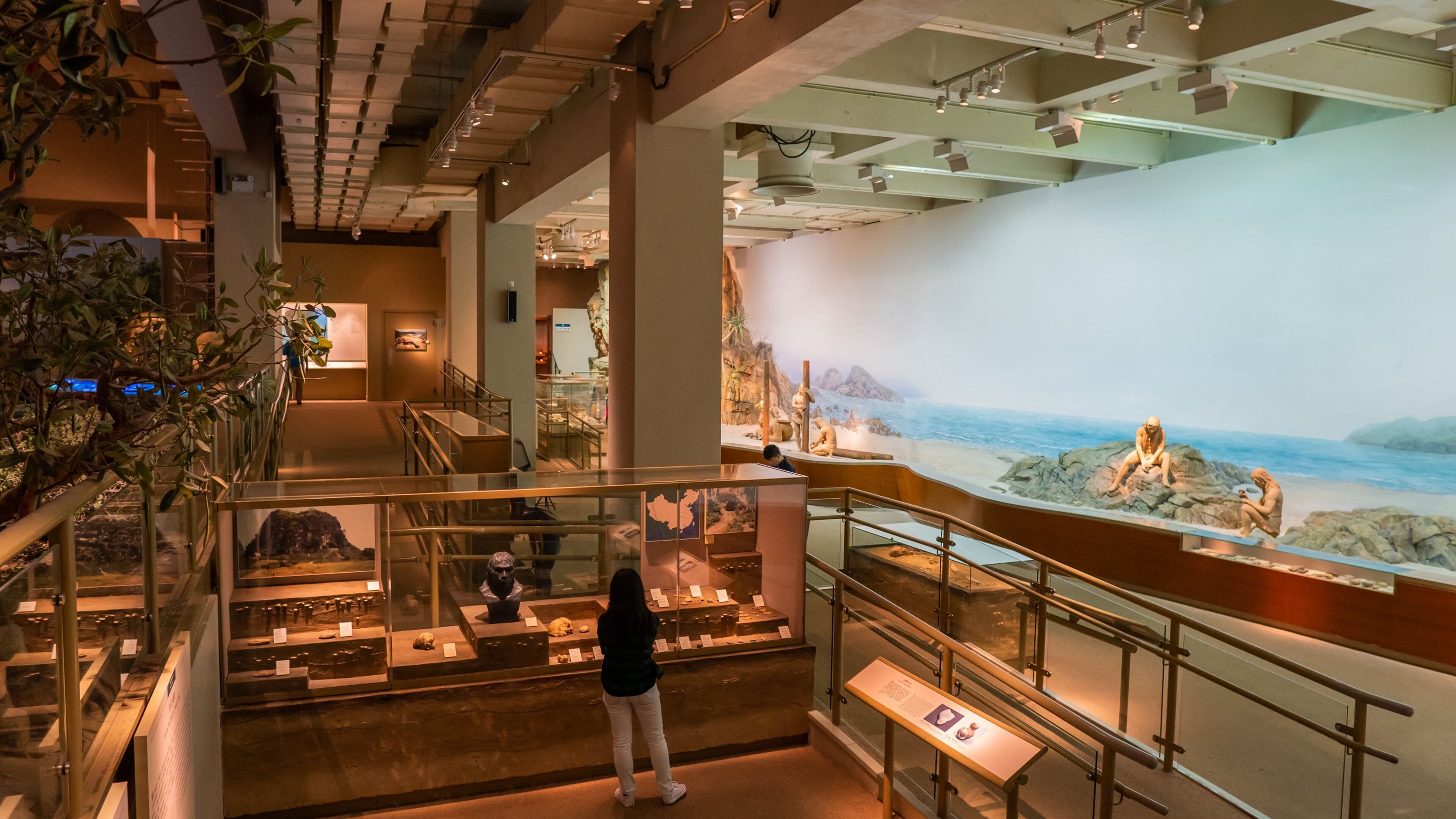 Hong Kong Museum of History