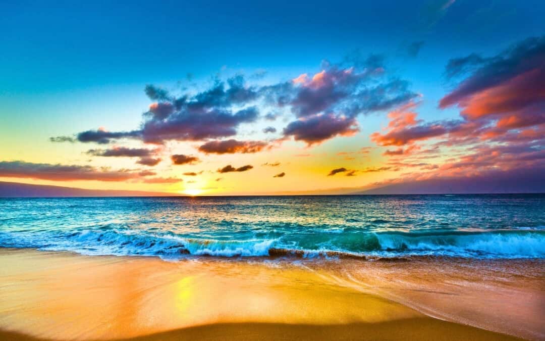 West Maui Eco-Tours