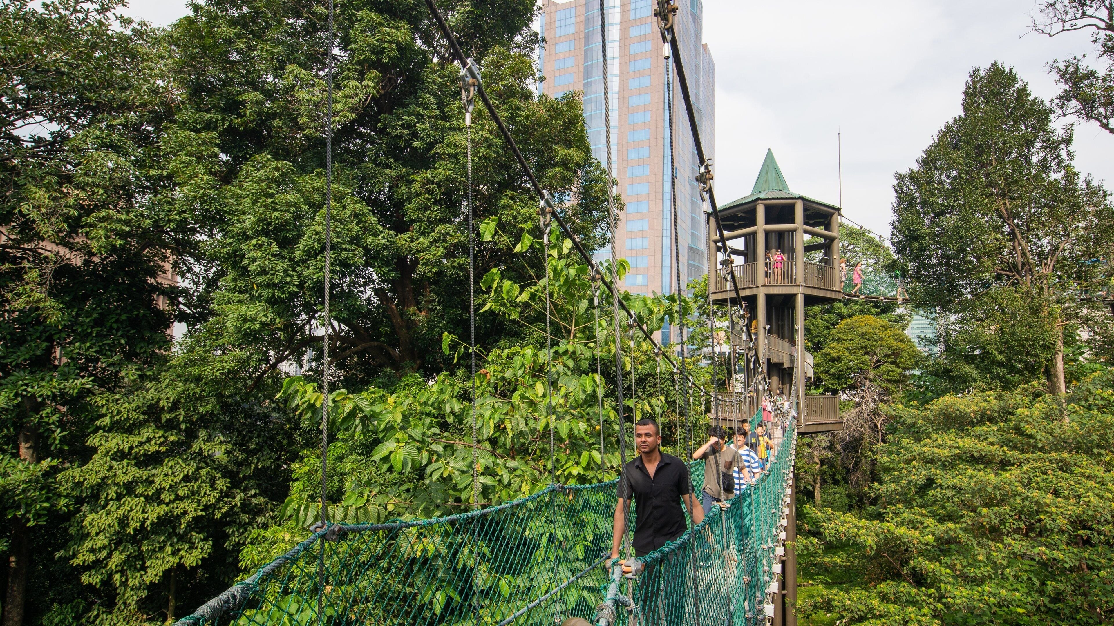 Bukit Nanas Forest Reserve