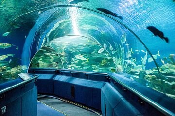 National Zoo & Aquarium