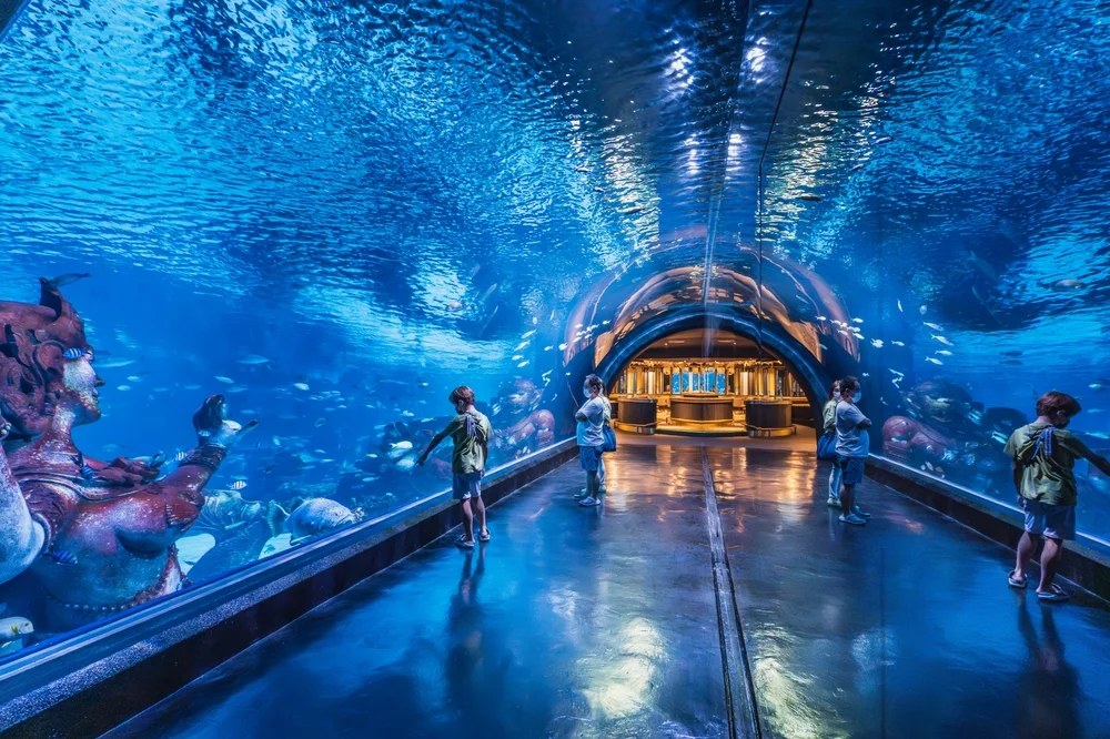 Phuket Aquarium