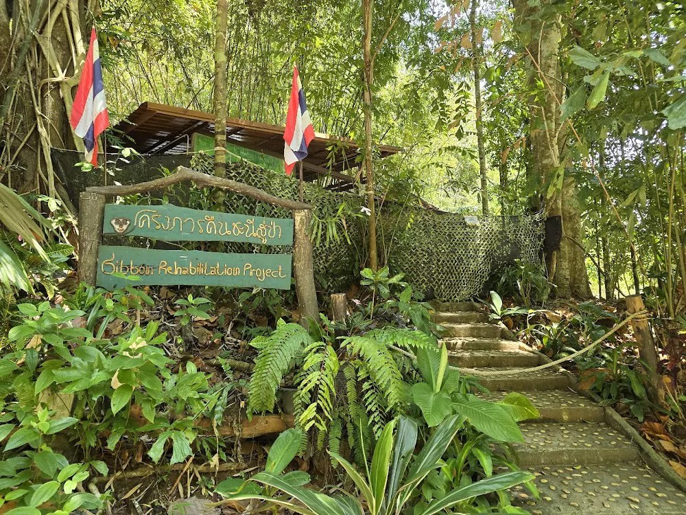 Gibbon Rehabilitation Project