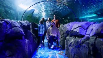 SEA LIFE Sydney Aquarium