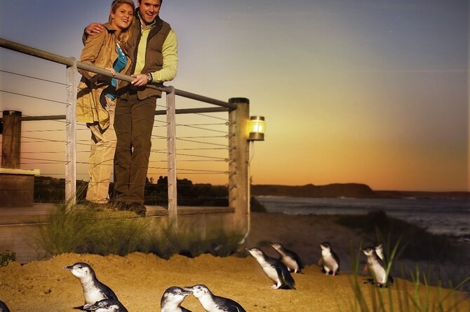 Phillip Island Penguin Parade