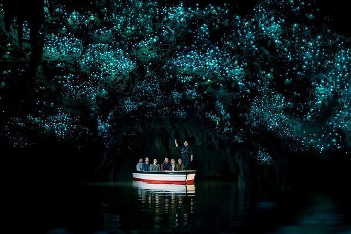 Waitomo Caves