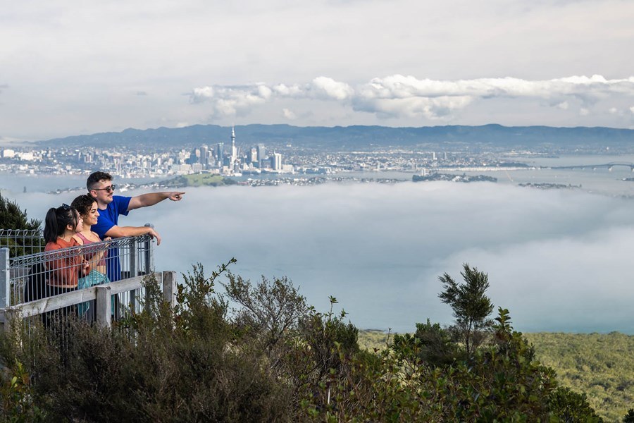 Rangitoto Island Walk