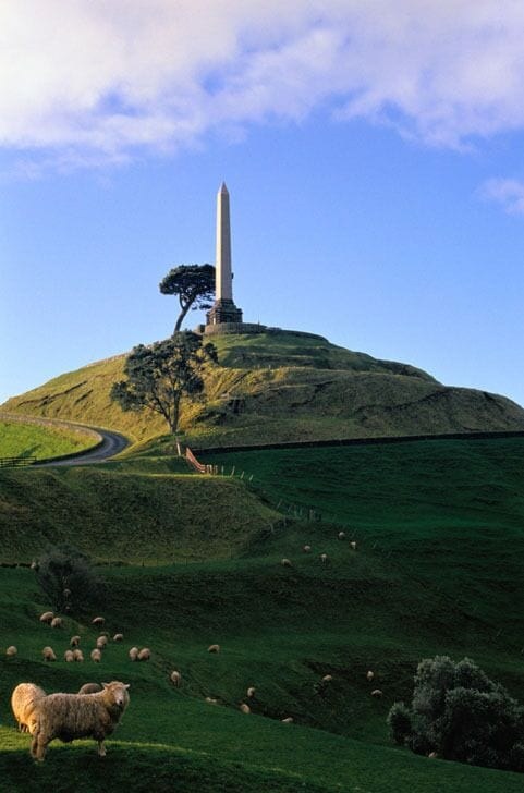 One Tree Hill