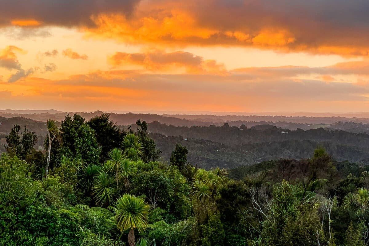 Waitakere Ranges