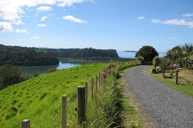 Matakana Wine Tour