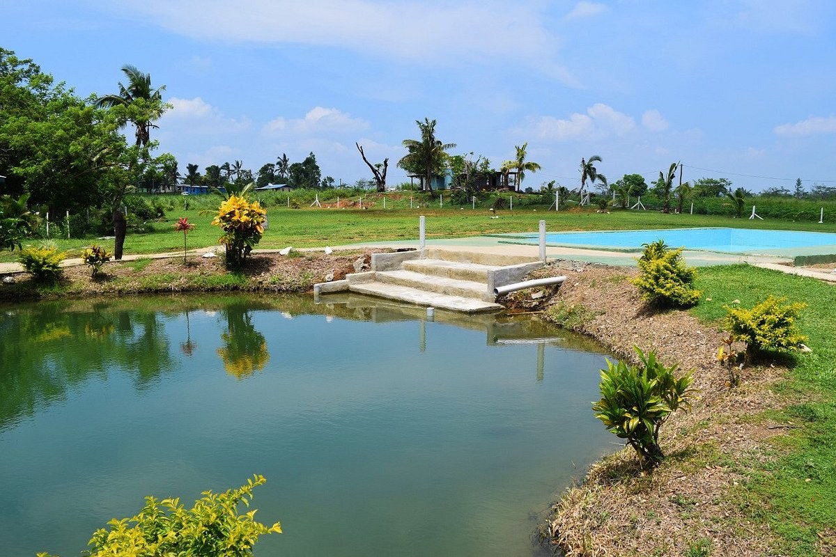 Sabeto Mud Pool