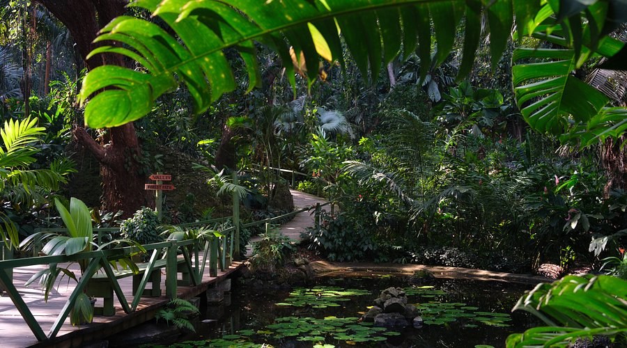 Garden of the Sleeping Giant
