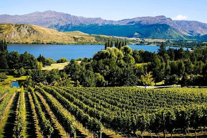 Wine Tours Queenstown