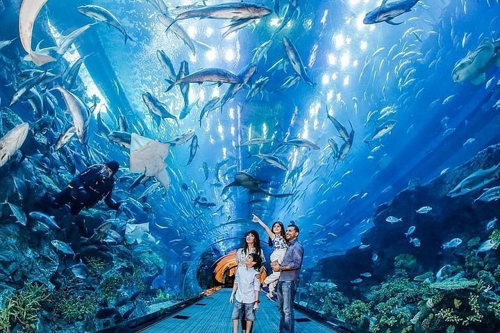 Dubai Aquarium & Underwater Zoo