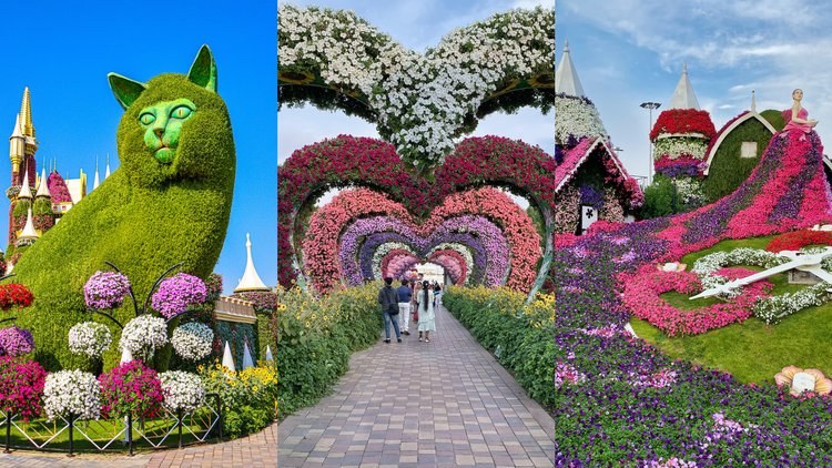 Dubai Miracle Garden
