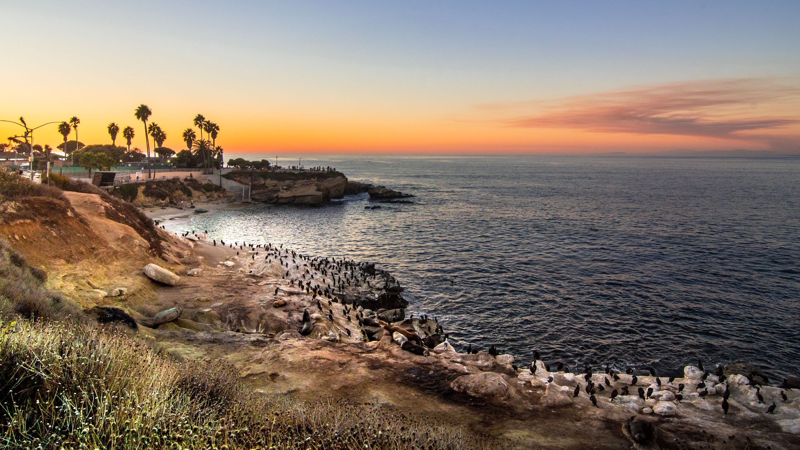 La Jolla Cove