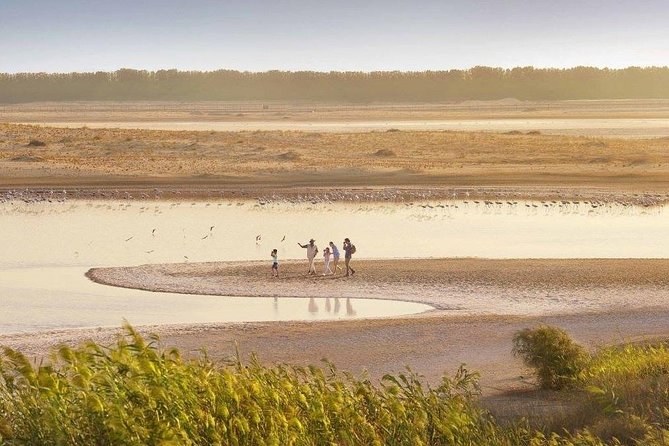 Al Wathba Wetland Reserve