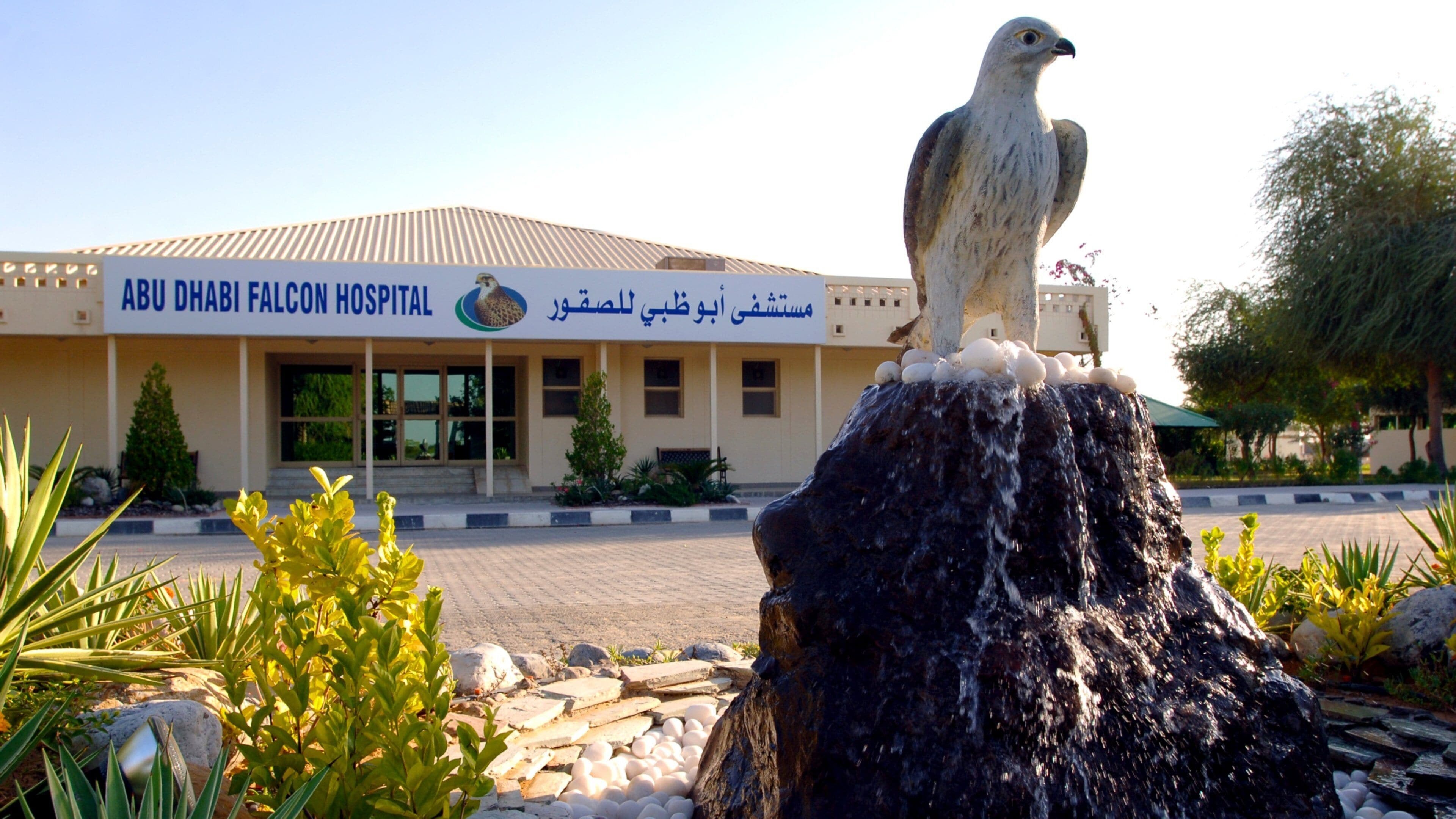 Abu Dhabi Falcon Hospital Tour