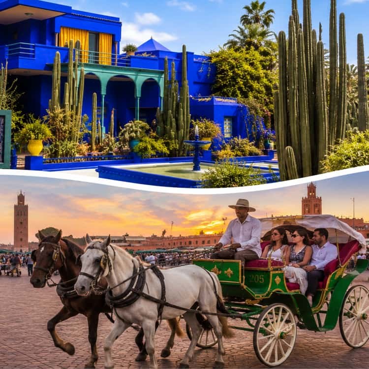 Majorelle Garden