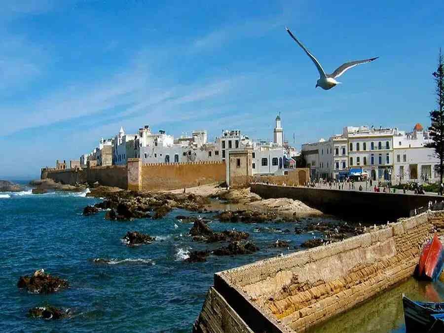Essaouira Day Trip