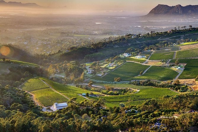Constantia Nek Wine Estate