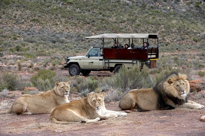 Aquila Private Game Reserve