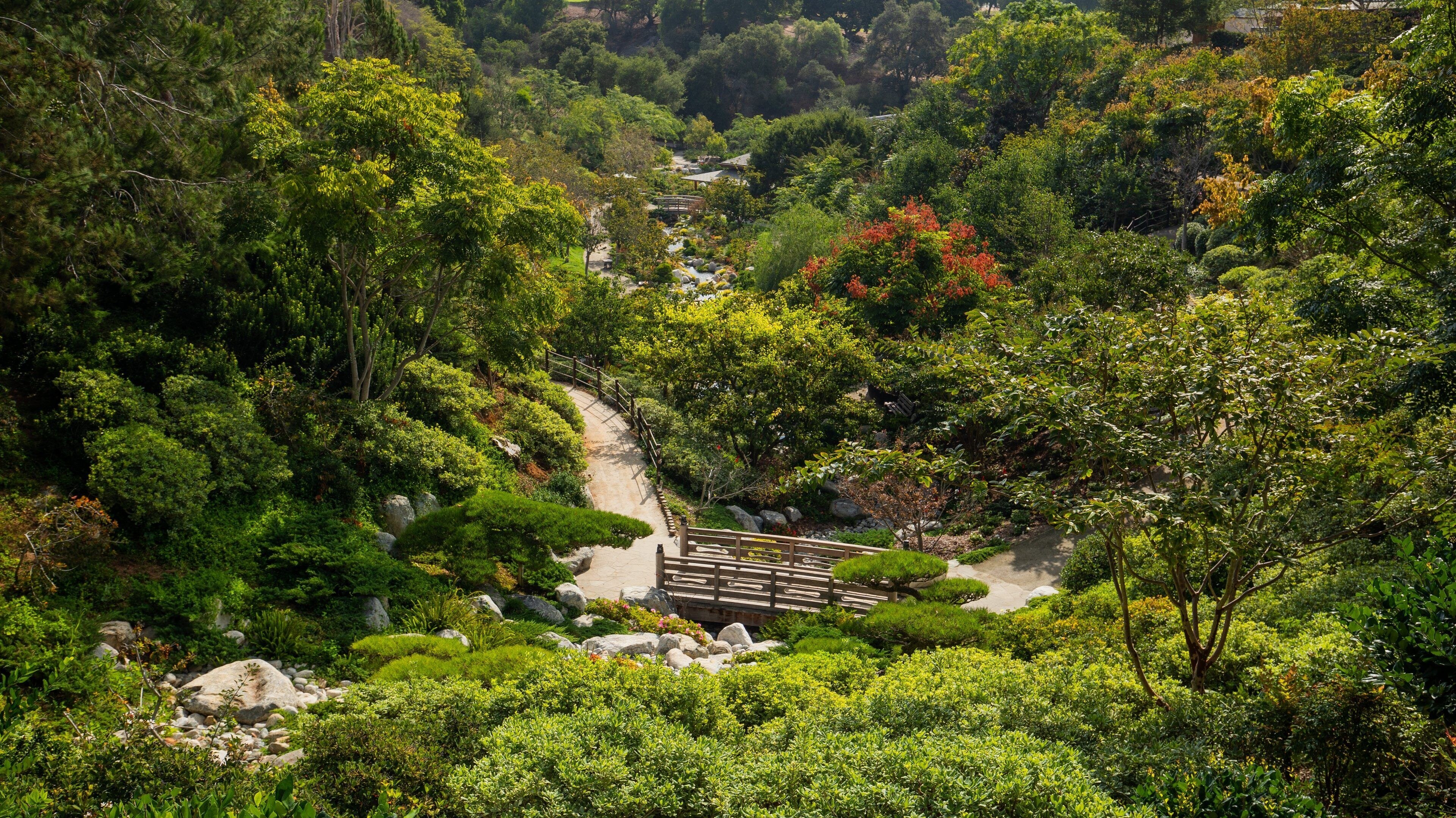 Japanese Friendship Garden