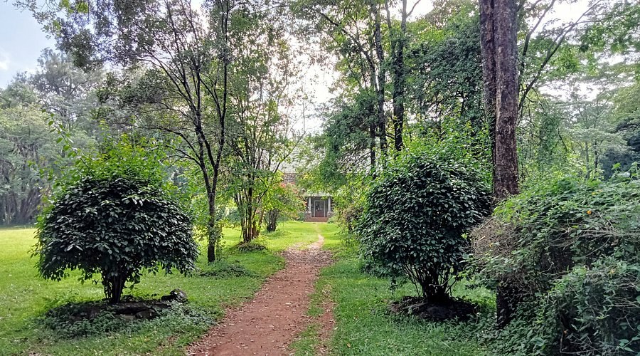 Nairobi Arboretum